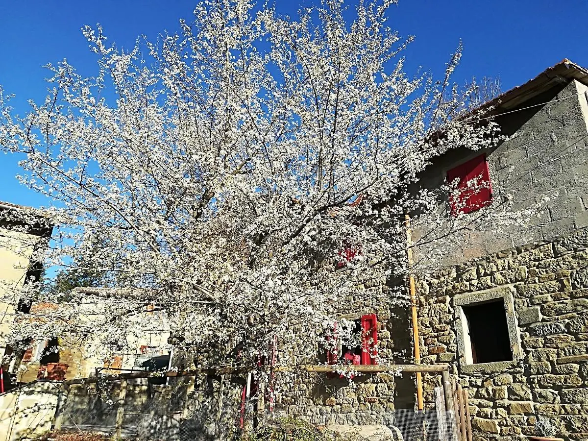 Bed & Breakfast L'Ospitale Di San Jacopo B&B Pratovecchio