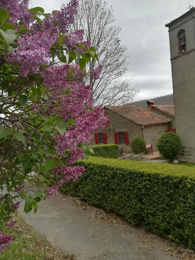 L'Ospitale Di San Jacopo B&B Pratovecchio 0*,
